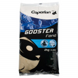 Nadă Gooster pescuit marin Ad&acirc;ncime Scoici 2 kg, Caperlan