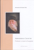 AS - ARHIMANDRIT GRICHENTIE NATU - ARHIMANDRITUL CLEOPA ILIE