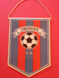 Fanion fotbal - CS TARGOVISTE