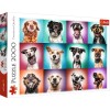 PUZZLE TREFL 2000 CATELUSII AMUZANTI, TREFL 2000P