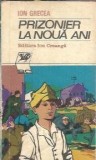 Prizonier la noua ani - Ion Grecea