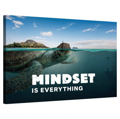 Tablou Canvas, Tablofy, Mindset is everything (Turtle), Printat Digital, 120 &amp;times; 90 cm foto