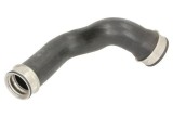 Palnie, filtru de aer MERCEDES-BENZ E-CLASS (W211) (2002 - 2009) THERMOTEC DCM110TT