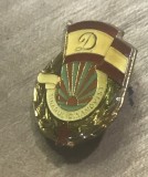 AMS2 Insignă vintage colecție &bdquo;T&acirc;nărul Dinamovist&rdquo;, Clubul Sportiv Dinamo București, realizată din metal și email, din perioada comunistă