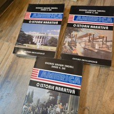 America. O istorie narativa - George Brown Tindall 3 volume