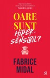 Oare sunt hipersensibil? - Fabrice Midal - Curtea Veche
