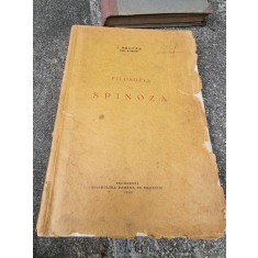 I. Brucar - Filosofia lui Spinoza