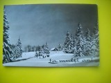 HOPCT 10662 PEISAJ MONTAN -IARNA -FELICITARE CRACIUN /AN NOU -CIRCULATA