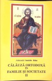 CALAUZA ORTODOXA IN FAMILIE SI SOCIETATE VOL.2-IOANICHIE BALAN-354715