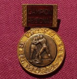 Insigna Campion Regional