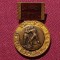 Insigna Campion Regional