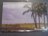 CHILE - INSULA RAPA NUI - REGION DE VALPARAISO - PEISAJ CU STATUILE MISTERIOASE