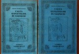 Calea sufletelor in Vesnicie. Vamile Vazduhului (vol. I +II) - Nicodim Mandita