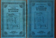Calea sufletelor in Vesnicie. Vamile Vazduhului (vol. I +II) - Nicodim Mandita