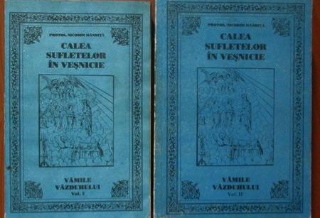 Calea sufletelor in Vesnicie. Vamile Vazduhului (vol. I +II) - Nicodim Mandita
