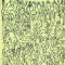 MICROBAR-ISAC PELTZ-262293