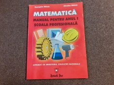 MATEMATICA MANUAL PENTRU ANUL I SCOALA PROFESIONALA GEORGETA GHICIU NICULAE GHICIU