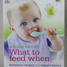 WHAT TO FEED WHEN by ANNABEL KARMEL , DELICIOUS RECIPES AND EXPERT ADVICE FOR ALL YOUR WEANING CHALLENGES , 2011