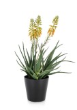 Cumpara ieftin Aloe artificiala in ghiveci 12,5x14x51h