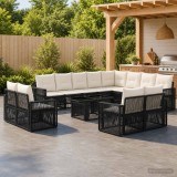 Cumpara ieftin Set de canapele pentru gradina 13 buc. Negru si Alb crem