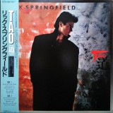 Vinil &quot;Japan Press&quot; Rick Springfield &lrm;&ndash; Tao (EX)