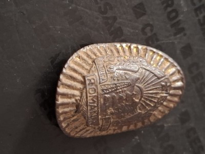 Insigna romania foto