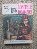 Cositele Doamnei - Petru Rezus, Roman istoric