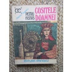 Cositele Doamnei - Petru Rezus, Roman istoric