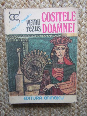 Cositele Doamnei - Petru Rezus, Roman istoric foto
