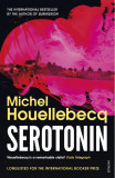 Serotonin | Michel Houellebecq, 2020, Vintage