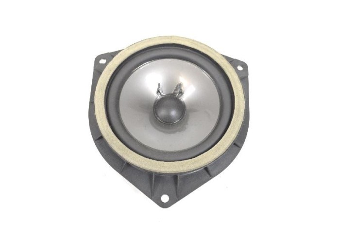 Difuzor ușă dreapta față LEXUS IS II GSE2_, ALE2_, USE2_ 2007 OEM: 86160-53210 | 10691619