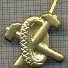 Y 1761 INSIGNA - MILITARA -SEMN DE ARMA - AUTO -PENTRU COLECTIONARI