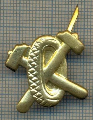 Y 1761 INSIGNA - MILITARA -SEMN DE ARMA - AUTO -PENTRU COLECTIONARI foto