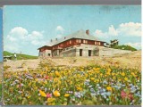 CPI B14164 CARTE POSTALA - MUNTII BUCEGI. CABANA &quot;BABELE&quot;, Necirculata, Fotografie