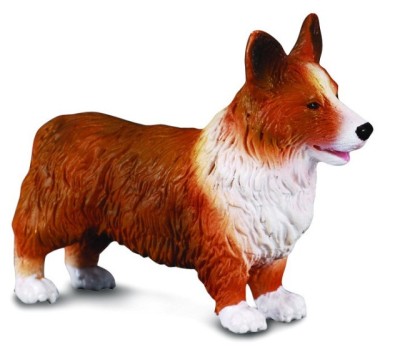 Corgi - Collecta foto