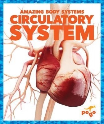 Circulatory System foto
