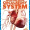 Circulatory System