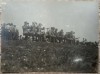 Manevrele dela Lipova, la Observator// fotografie interbelica, Romania 1900 - 1950, Portrete