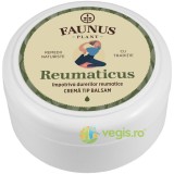 Unguent Reumaticus (Untul Pamantului si Tataneasa) 100ml