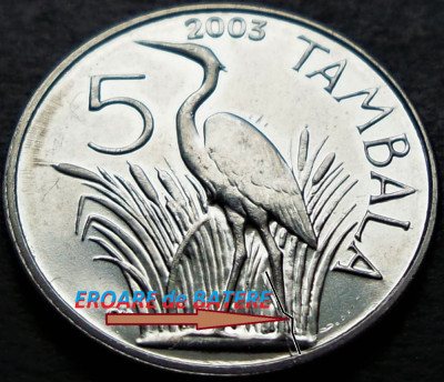 Moneda exotica 5 TAMBALA - Republica MALAWI, anul 2003 * cod 3765 = UNC EROARE foto