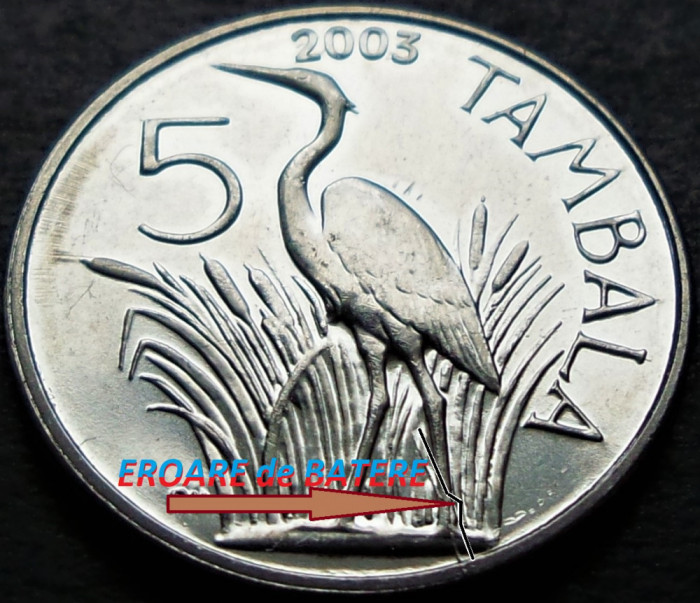 Moneda exotica 5 TAMBALA - Republica MALAWI, anul 2003 * cod 3765 = UNC EROARE