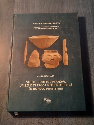 Seciu judetul Prahova un sit din epoca neo eneolitica Alin Franculescu foto