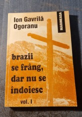Brazii se frang dar nu se indoiesc volumul 1 Ion Gavrila Ogoranu