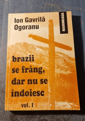 Brazii se frang dar nu se indoiesc volumul 1 Ion Gavrila Ogoranu foto