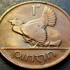 Moneda istorica 1 PENNY / PINGIN - IRLANDA, anul 1931 * cod 2395