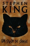 Un strop de sange - 2022 - Stephen King ($R150)