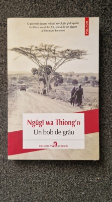 UN BOB DE GRAU - Ngugi wa Thiong&amp;#039;O foto