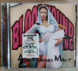 CD Bloodhound Gang &ndash; Along Comes Mary, Rock, Geffen rec