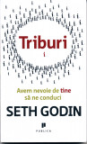 Triburi | Seth Godin, Publica