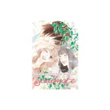 Kimi Ni Todoke: From Me to You: Soulmate, Vol. 3
